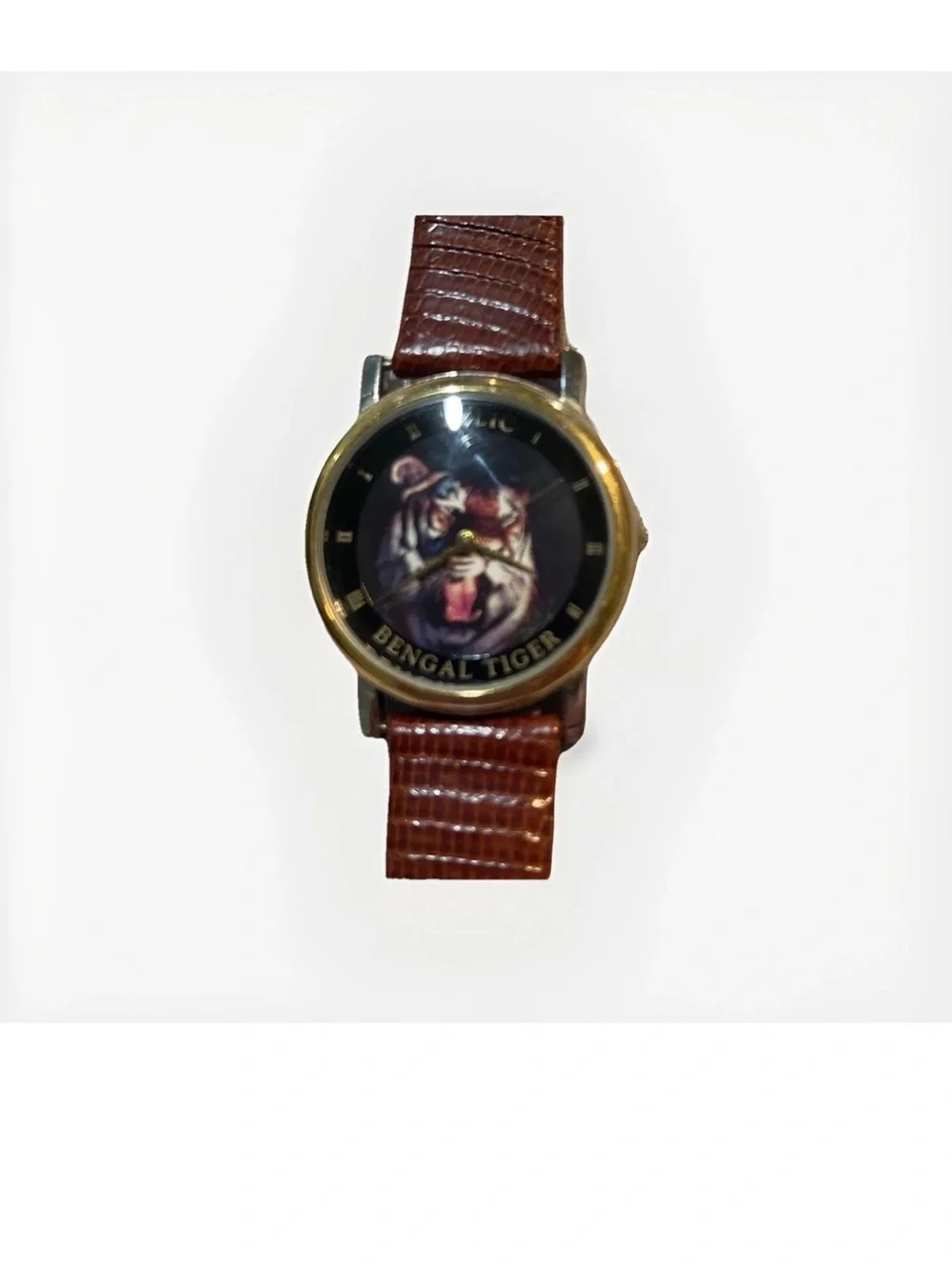 Relic Watch with Brown Leather Strap and Silver Case